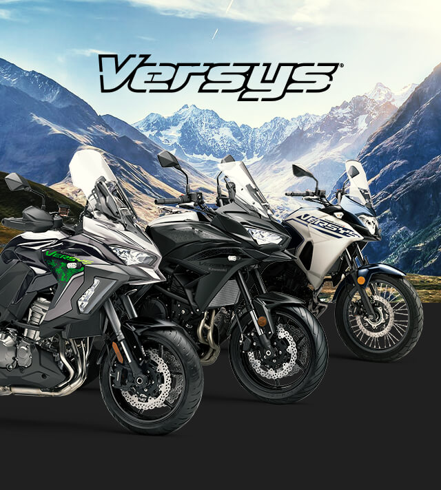 versys FAMILY: SMALL IMAGE