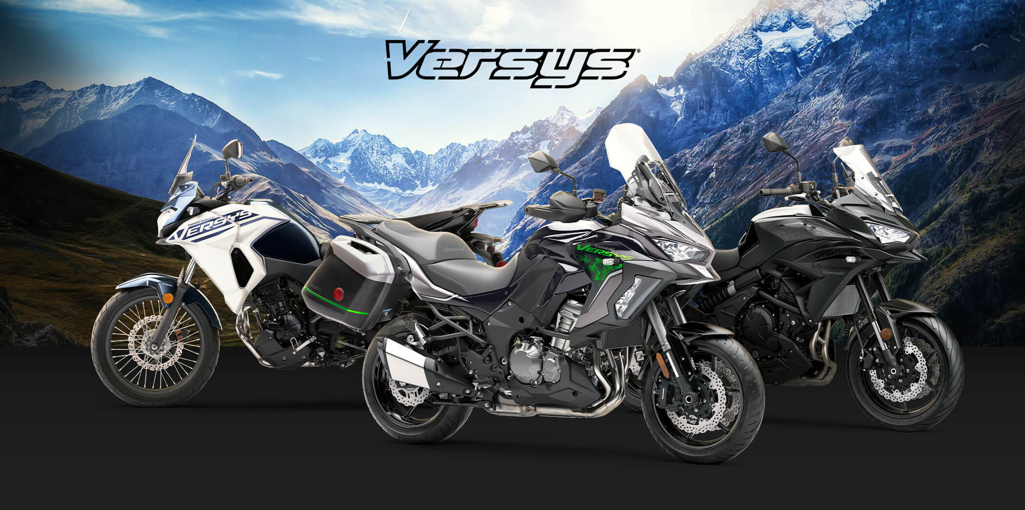 versys FAMILY: