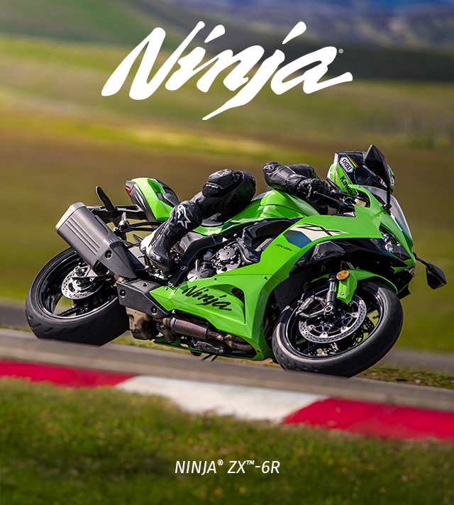 Ninja FAMILY: Ninja IMAGE